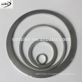 Gasket--for pipe flange static sealing